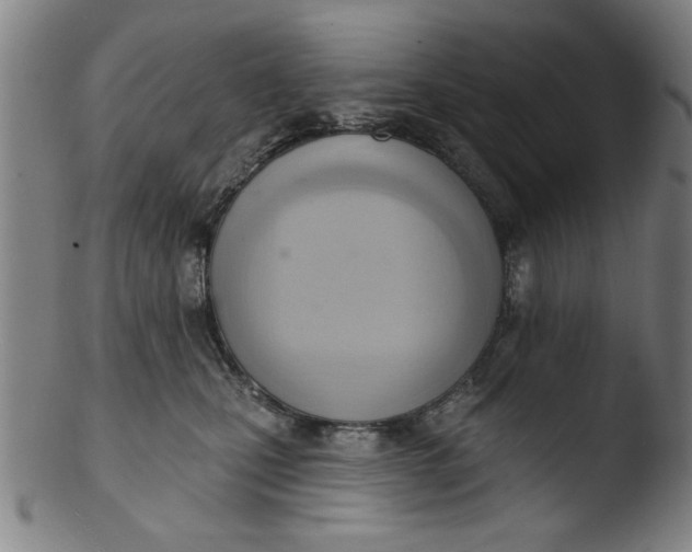 X0000103420471200809261711