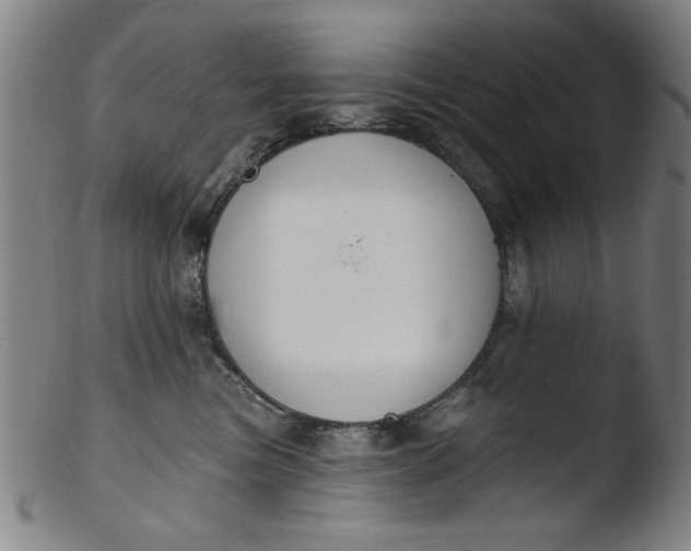 X0000103420473200809261711