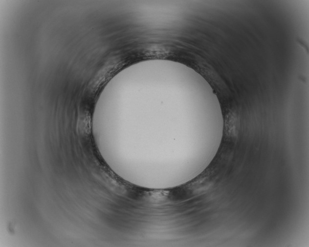 X0000103420474200809261711