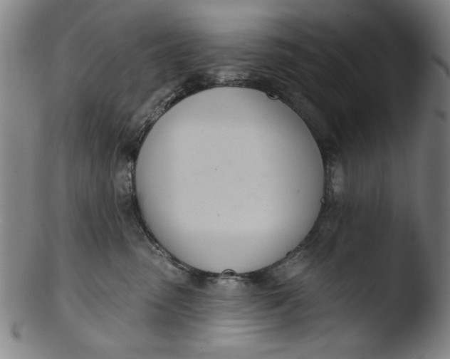 X0000103420475200809261712