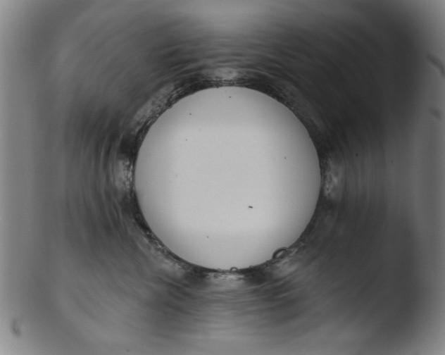 X0000103420476200809261712