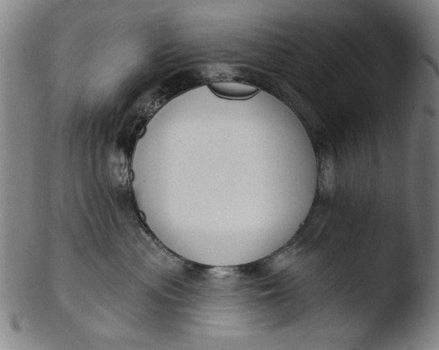 X0000103420477200809261712