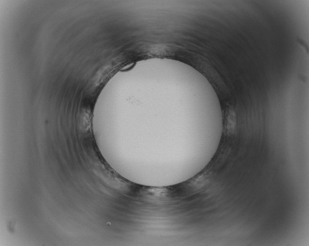 X0000103420478200809261712