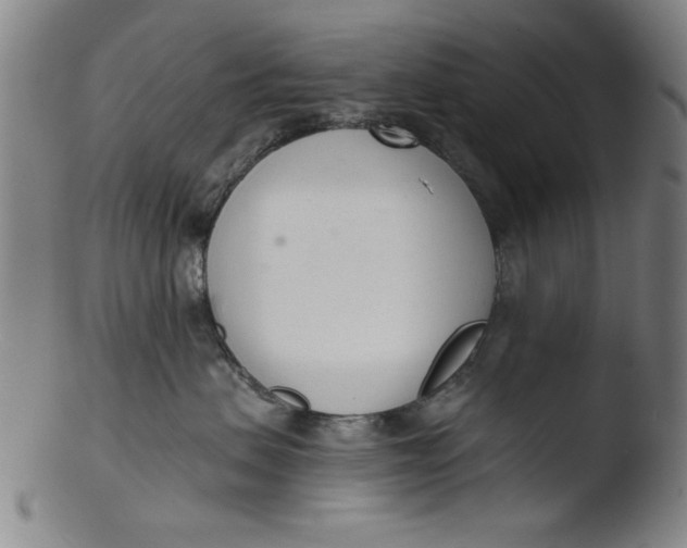 X0000103420479200809261712