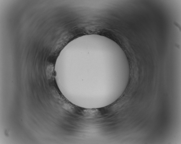 X0000103420480200809261712