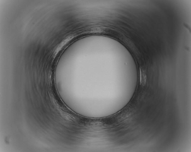 X0000103420483200809261711