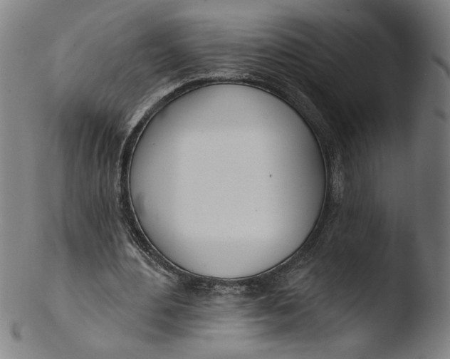 X0000103420484200809261711