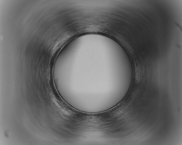 X0000103420486200809261711