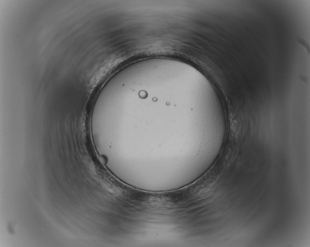 X0000103420487200809261710