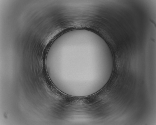 X0000103420488200809261710