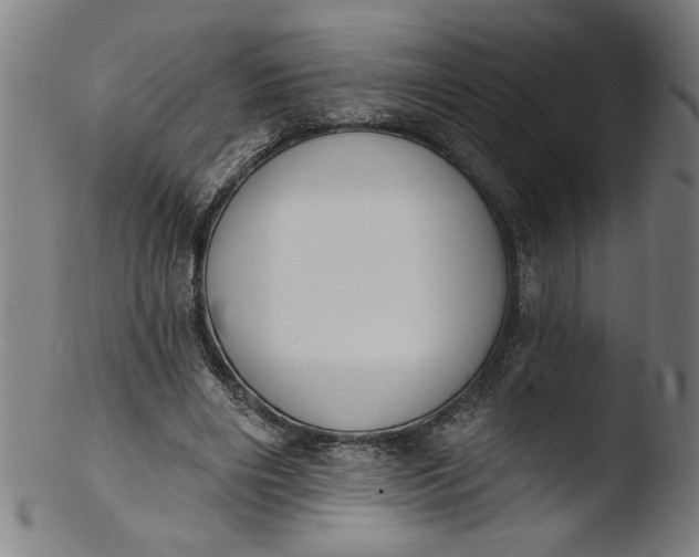 X0000103420490200809261710