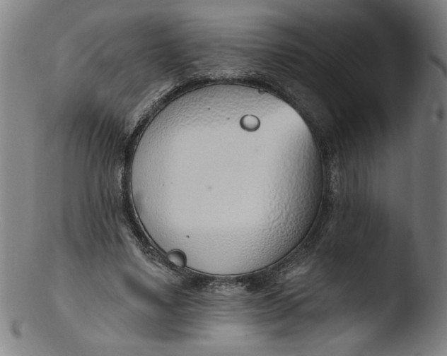 X0000103420491200809261710