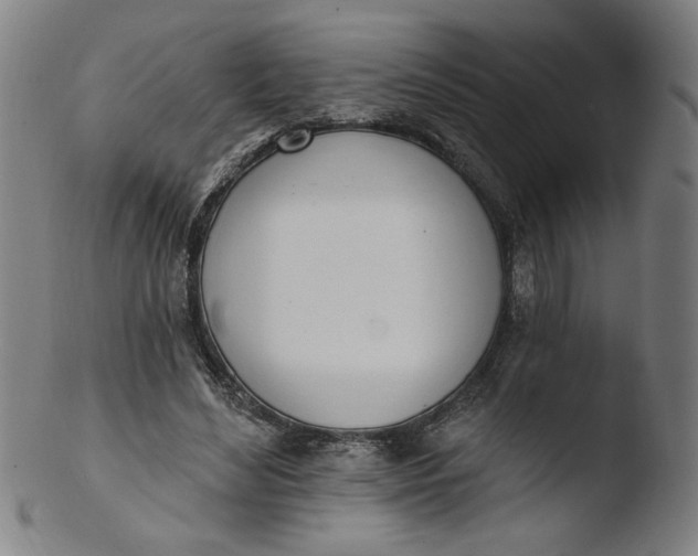 X0000103420492200809261710