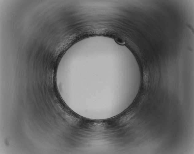 X0000103420493200809261710