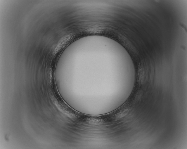 X0000103420494200809261710