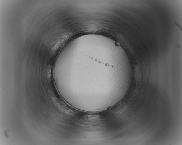 X0000103420495200809261710