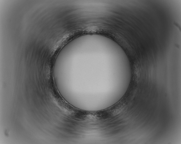 X0000103420496200809261710