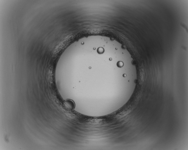 X0000103420497200809261710