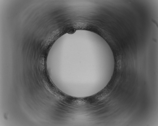 X0000103420498200809261710