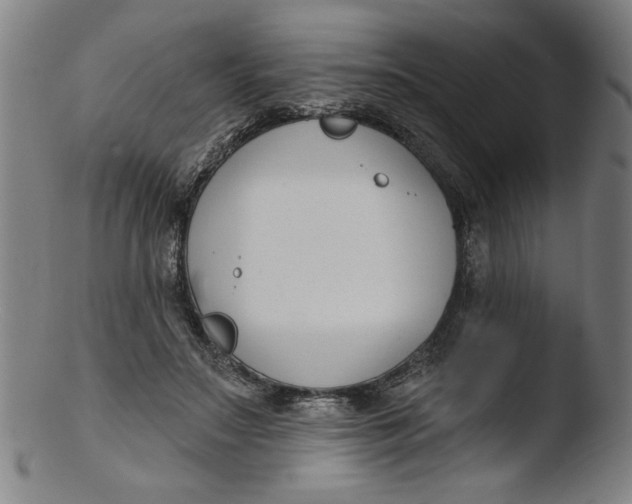 X0000103420499200809261710