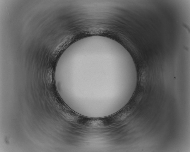 X0000103420501200809261710