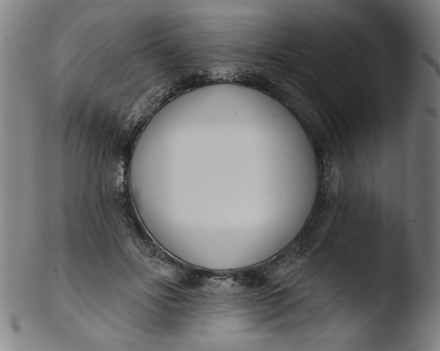 X0000103420502200809261710