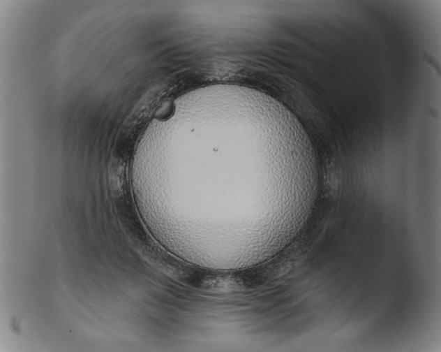 X0000103420503200809261710