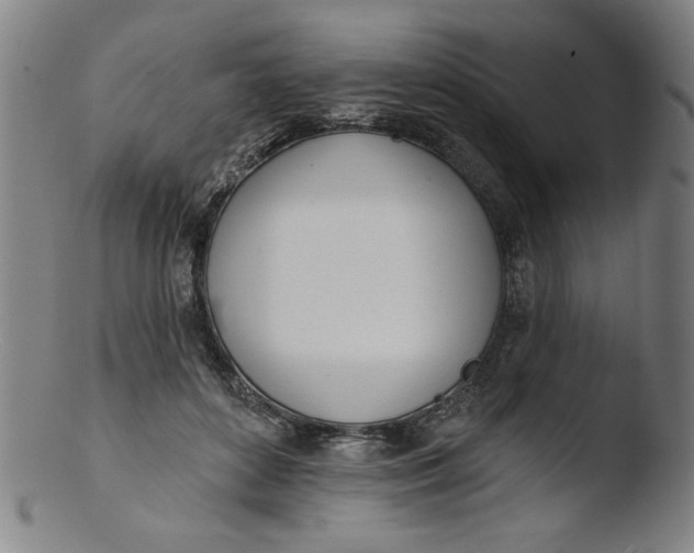 X0000103420504200809261710