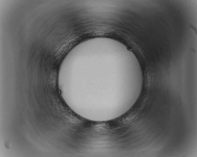 X0000103420505200809261710