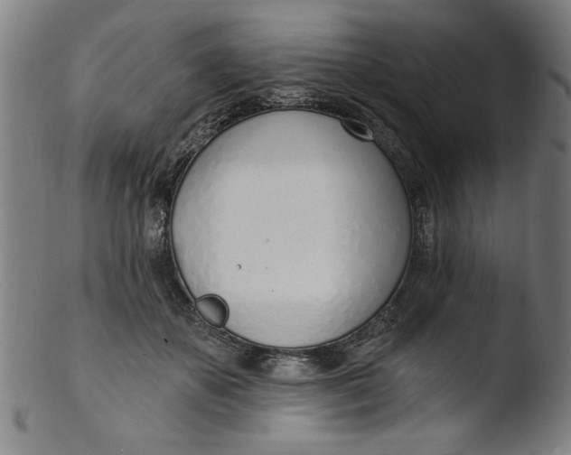 X0000103420507200809261710