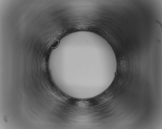 X0000103420508200809261710