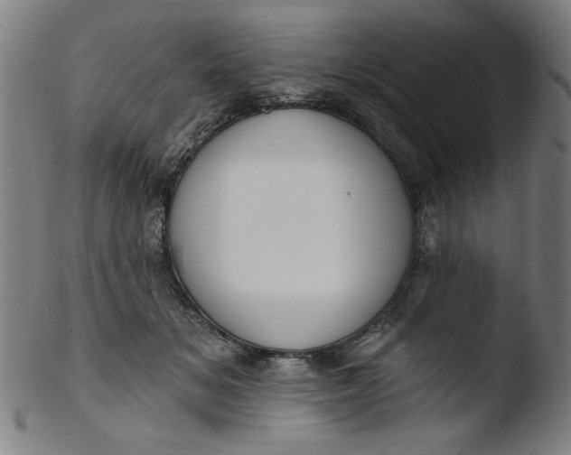 X0000103420509200809261710