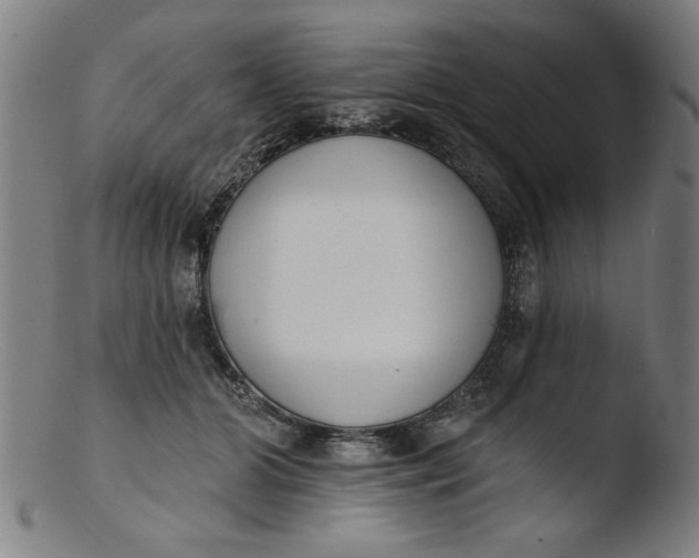 X0000103420510200809261710