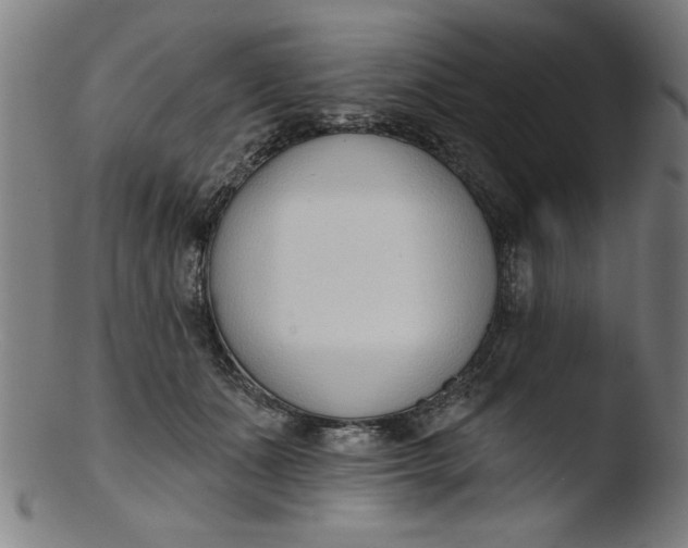 X0000103420511200809261710