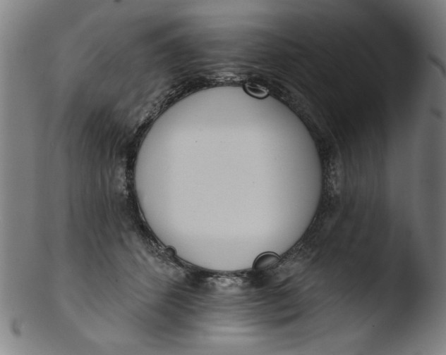 X0000103420512200809261710