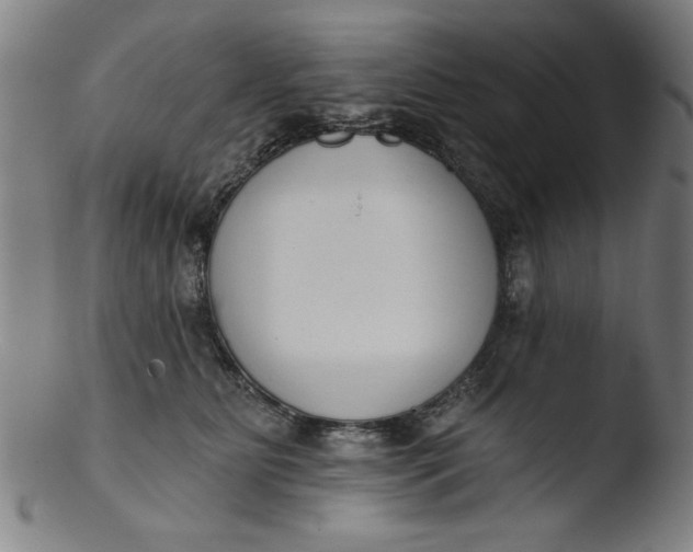 X0000103420515200809261710