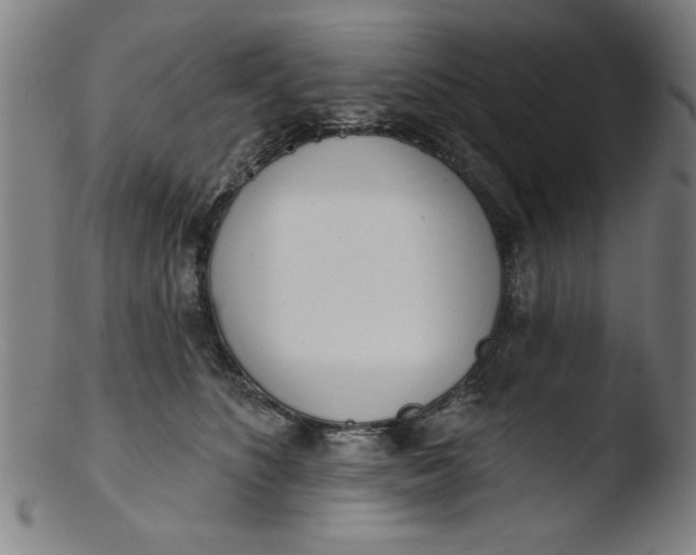 X0000103420516200809261710