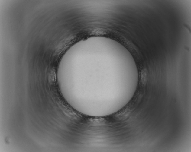 X0000103420517200809261710