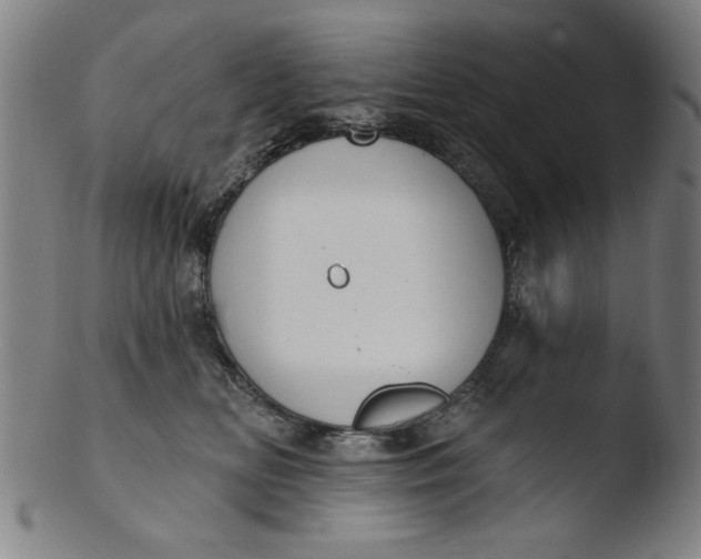 X0000103420518200809261710