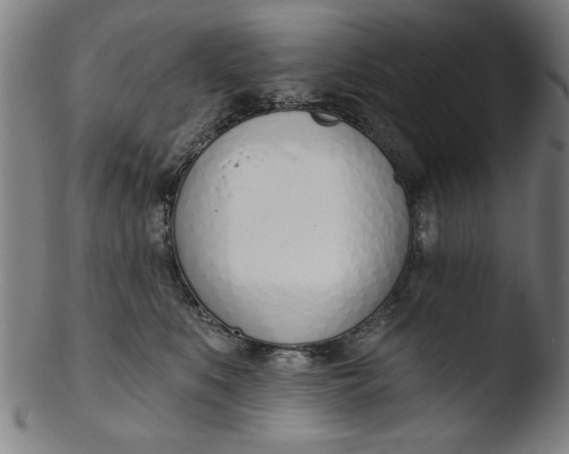 X0000103420519200809261710