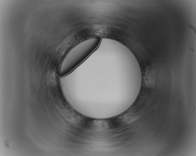 X0000103420520200809261710