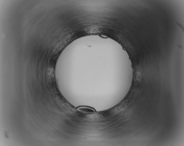 X0000103420521200809261710