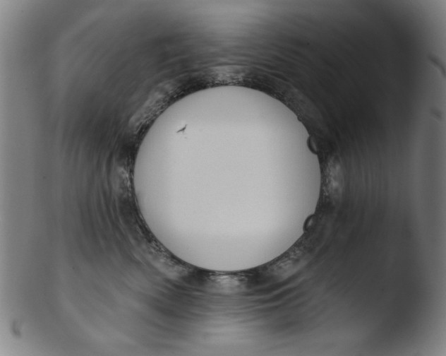 X0000103420522200809261710