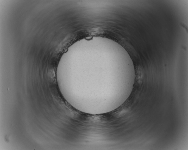 X0000103420523200809261710