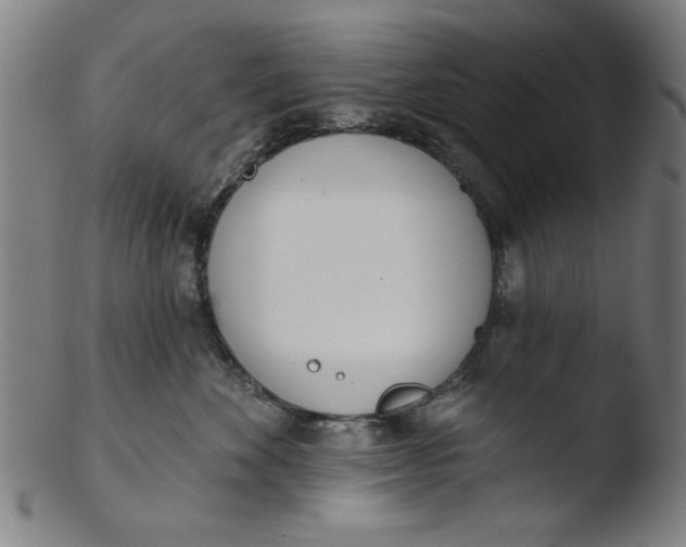 X0000103420524200809261710