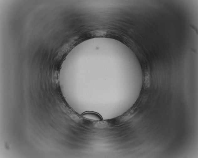 X0000103420525200809261710