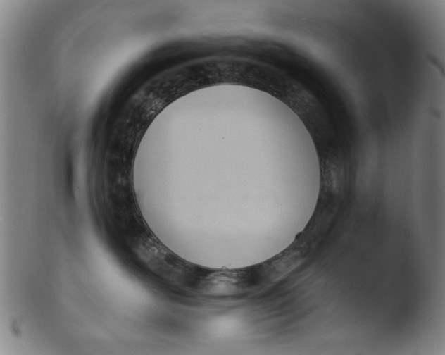 X0000103420526200809261710