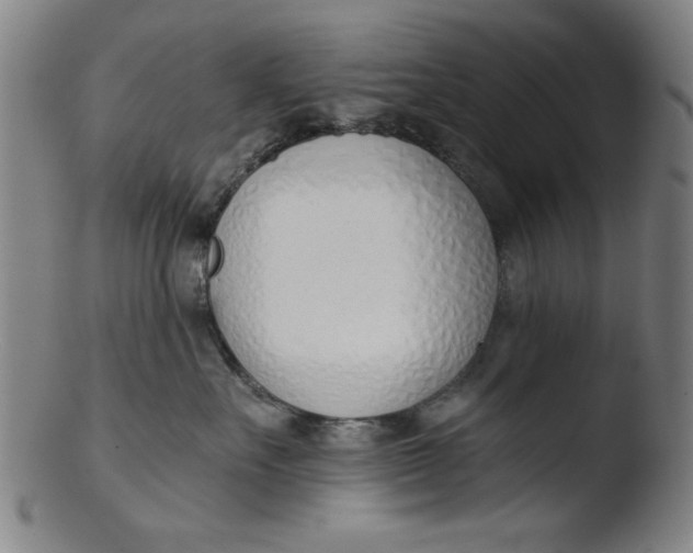 X0000103420527200809261710