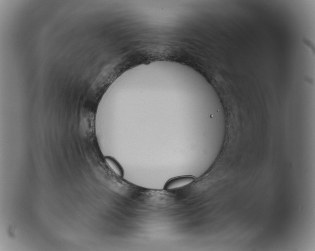 X0000103420528200809261710