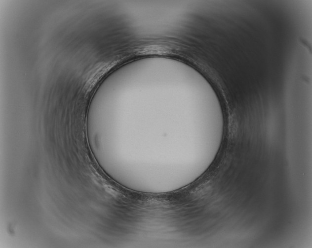 X0000103420529200809261709